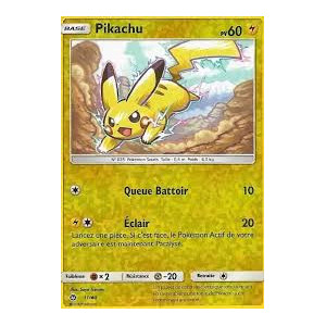 Carte à Collectionner - Pokémon