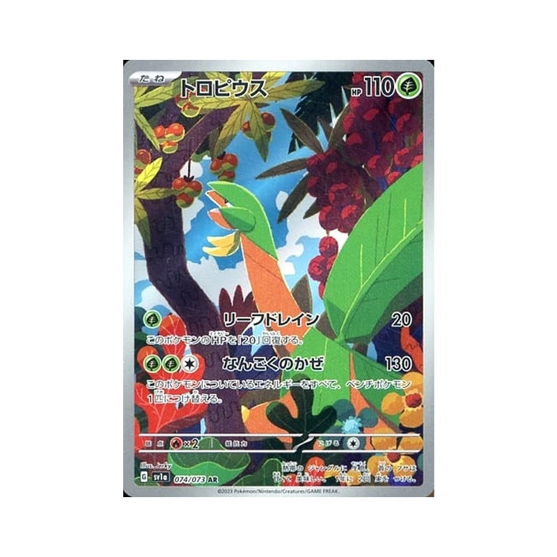 Carte à Collectionner - Pokémon