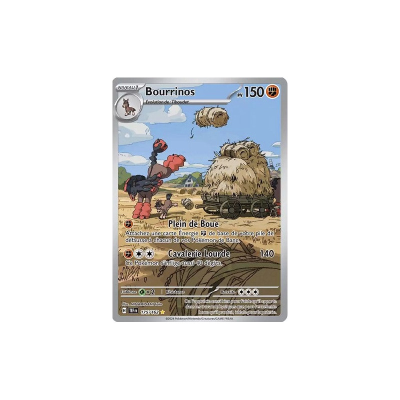 Carte à Collectionner - Pokémon