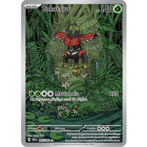 Carte à Collectionner - Pokémon