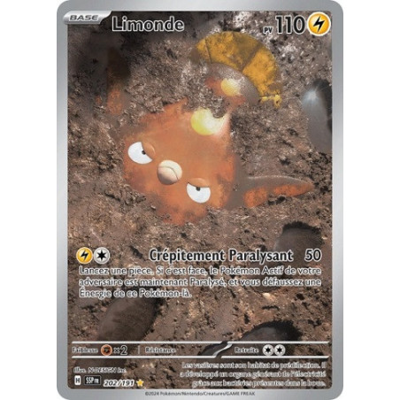 Carte à Collectionner - Pokémon