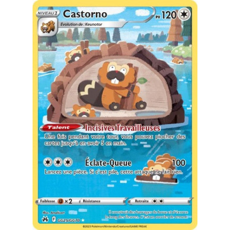 Carte à Collectionner - Pokémon