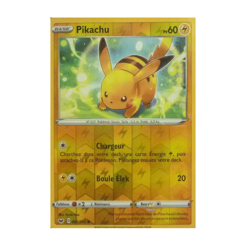 Carte à Collectionner - Pokémon