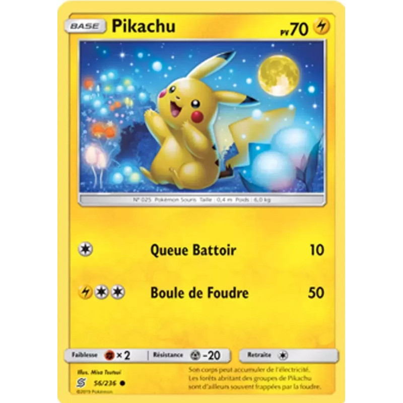 Carte à Collectionner - Pokémon