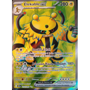 Carte à Collectionner - Pokémon