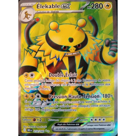 Carte à Collectionner - Pokémon