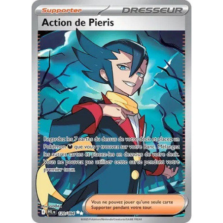 Carte à Collectionner - Pokémon