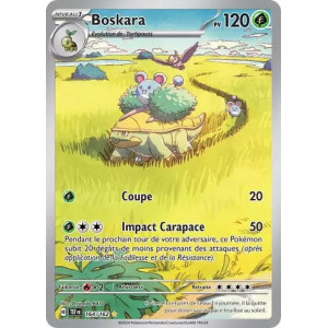 Carte à Collectionner - Pokémon