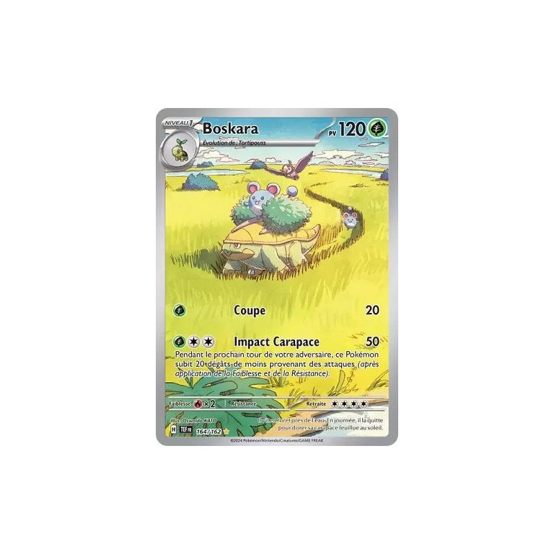 Carte à Collectionner - Pokémon