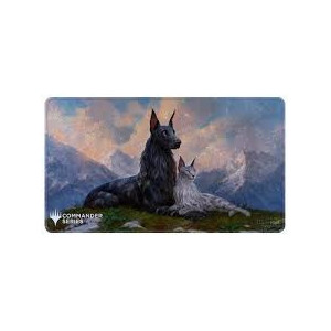 Carte à Collectionner - Magic the gathering