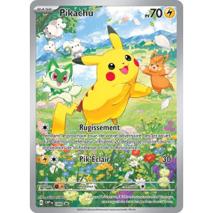 Carte à Collectionner - Pokémon