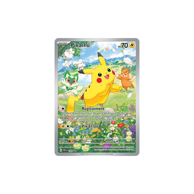 Carte à Collectionner - Pokémon