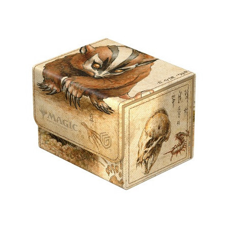 Carte à Collectionner