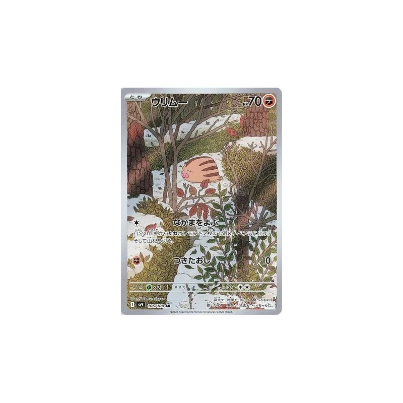 Carte à Collectionner - Pokémon