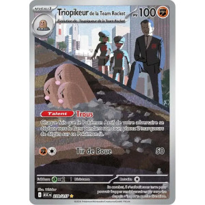 Carte à Collectionner - Pokémon