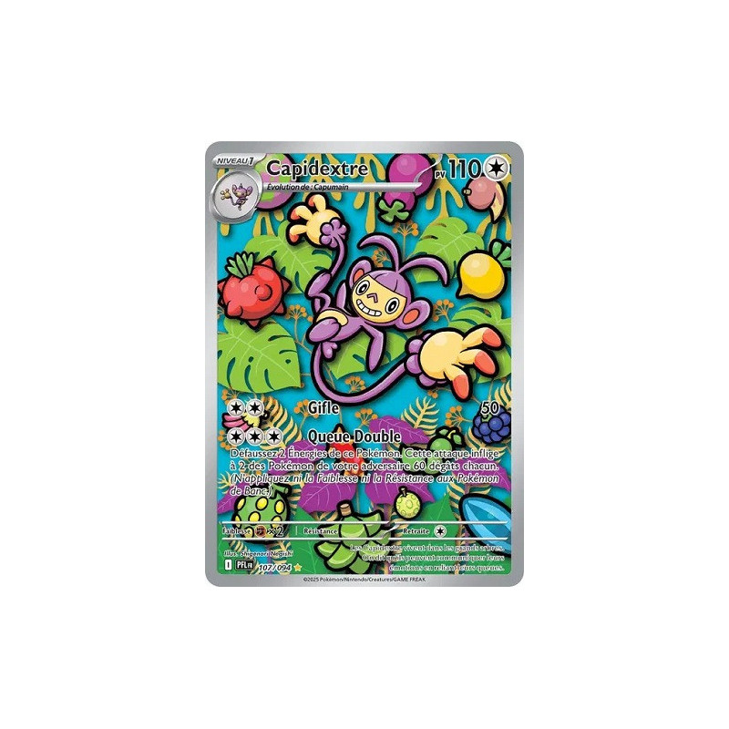 Carte à Collectionner - Pokémon