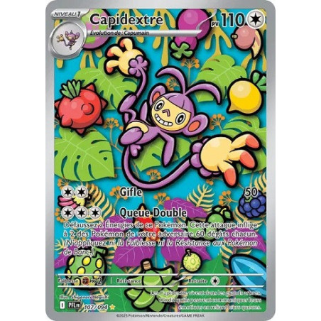 Carte à Collectionner - Pokémon