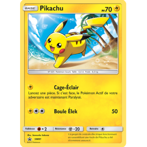 Carte à Collectionner - Pokémon
