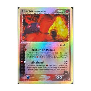 Carte à Collectionner - Pokémon