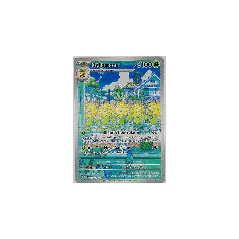 Carte à Collectionner - Pokémon