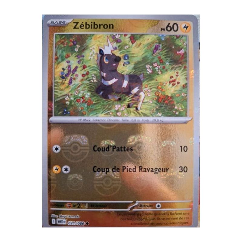 Carte à Collectionner - Pokémon