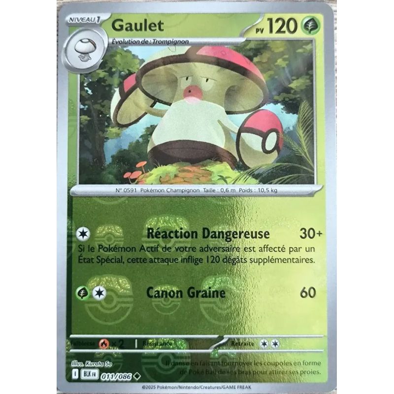 Carte à Collectionner - Pokémon