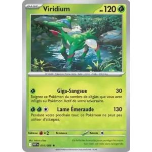 Carte à Collectionner - Pokémon