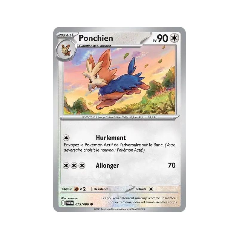 Carte à Collectionner - Pokémon