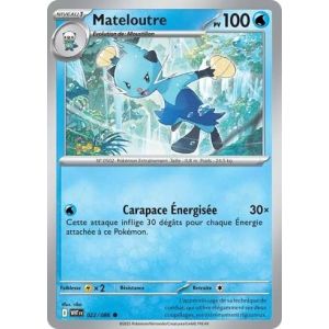 Carte à Collectionner - Pokémon