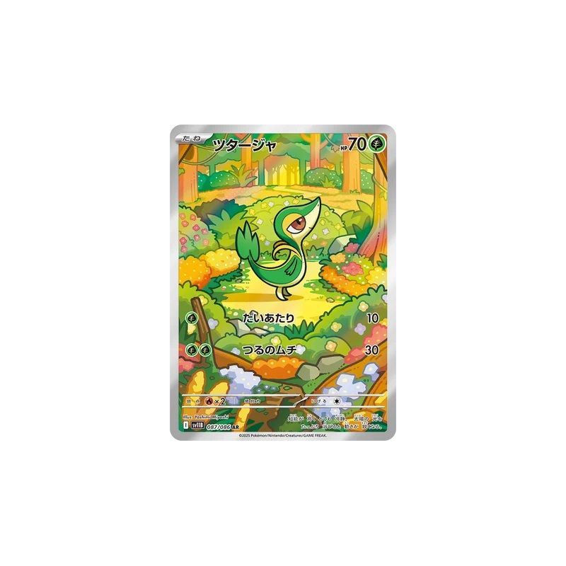 Carte à Collectionner - Pokémon