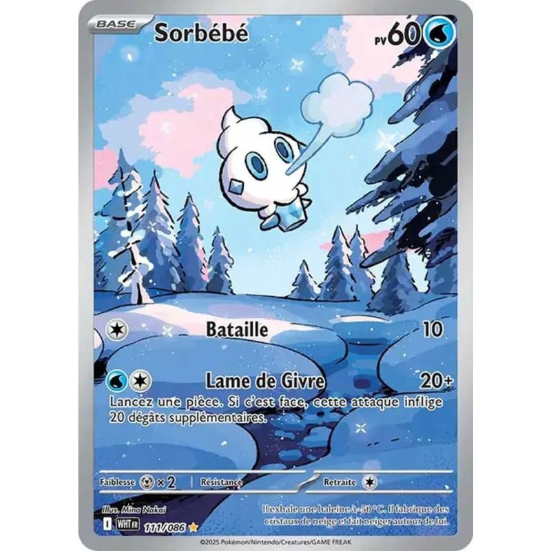 Carte à Collectionner - Pokémon