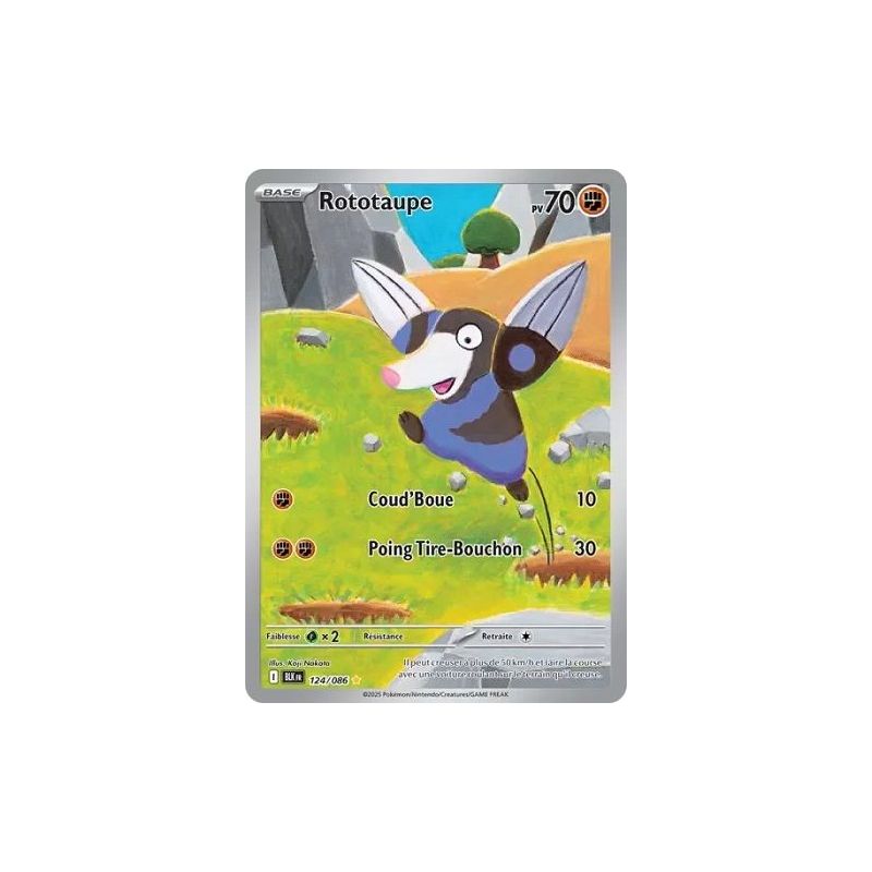 Carte à Collectionner - Pokémon