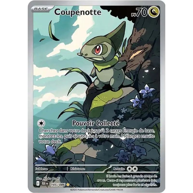 Carte à Collectionner - Pokémon