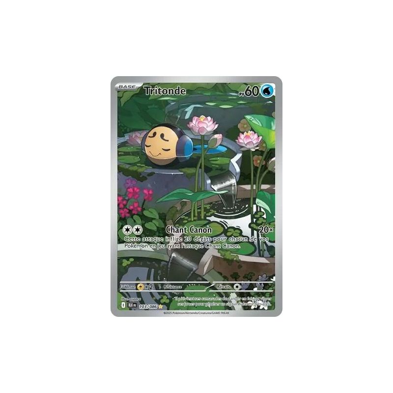 Carte à Collectionner - Pokémon