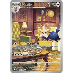 Carte à Collectionner - Pokémon