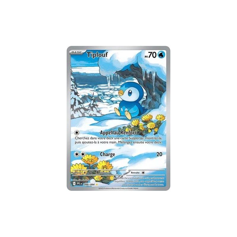 Carte à Collectionner - Pokémon