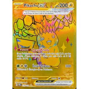 Carte à Collectionner - Pokémon