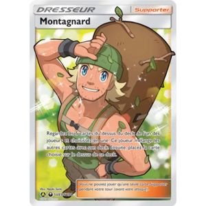 Carte à Collectionner - Pokémon