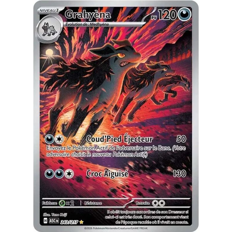 Carte à Collectionner - Pokémon