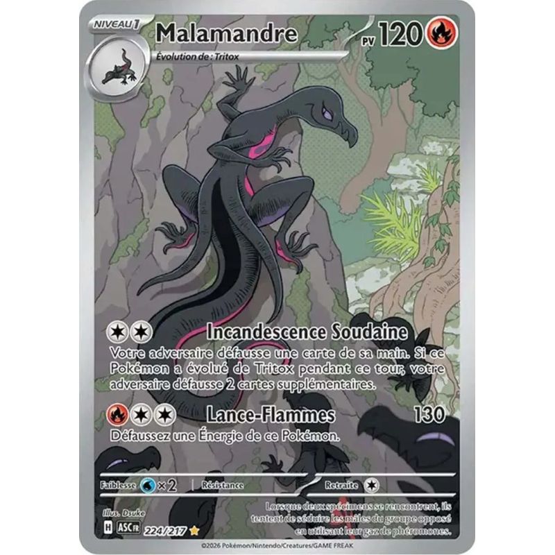 Carte à Collectionner - Pokémon