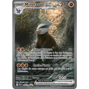 Carte à Collectionner - Pokémon