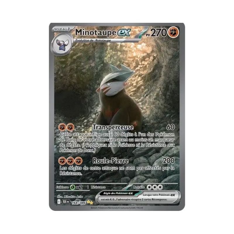 Carte à Collectionner - Pokémon