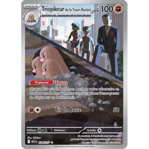 Carte à Collectionner - Pokémon