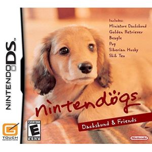 Nintendo DS