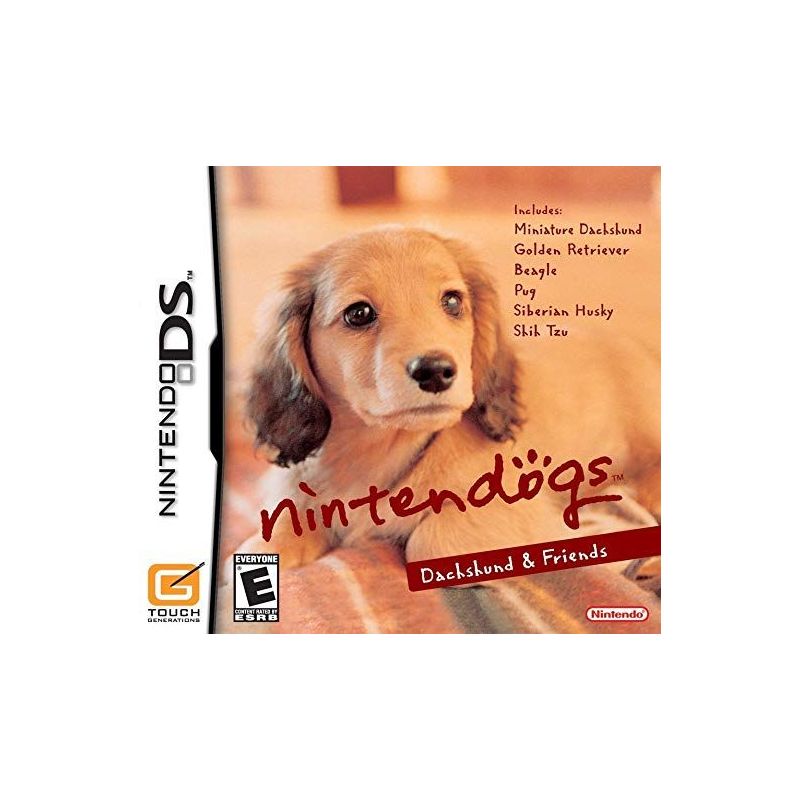 Nintendo DS