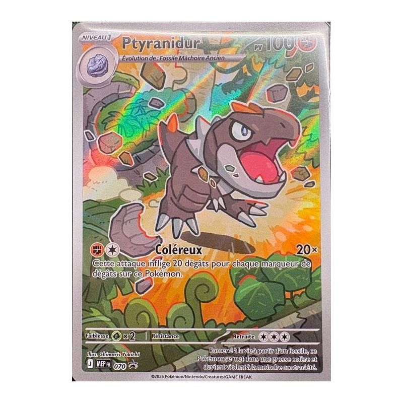 Carte à Collectionner - Pokémon