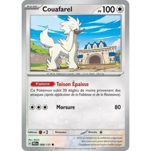 Carte à Collectionner - Pokémon