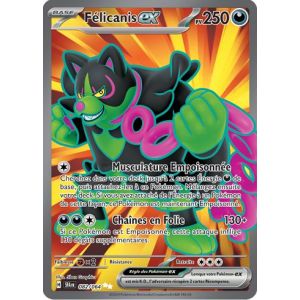 Carte à Collectionner - Pokémon