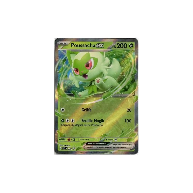 Carte à Collectionner - Pokémon