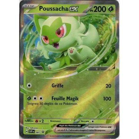 Carte à Collectionner - Pokémon